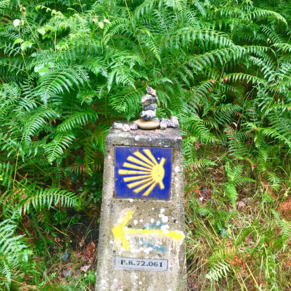 Markers along the well-traveled path help guide travelers.