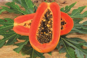 A daily dose of papaya and/or peppermint can aid in healing and digestion.