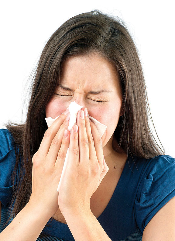 Health Sneezing Hay Fever