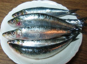 sardines