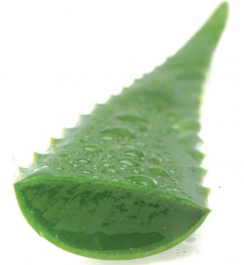 aloe gel