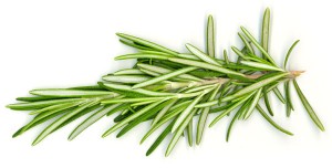 rosemary