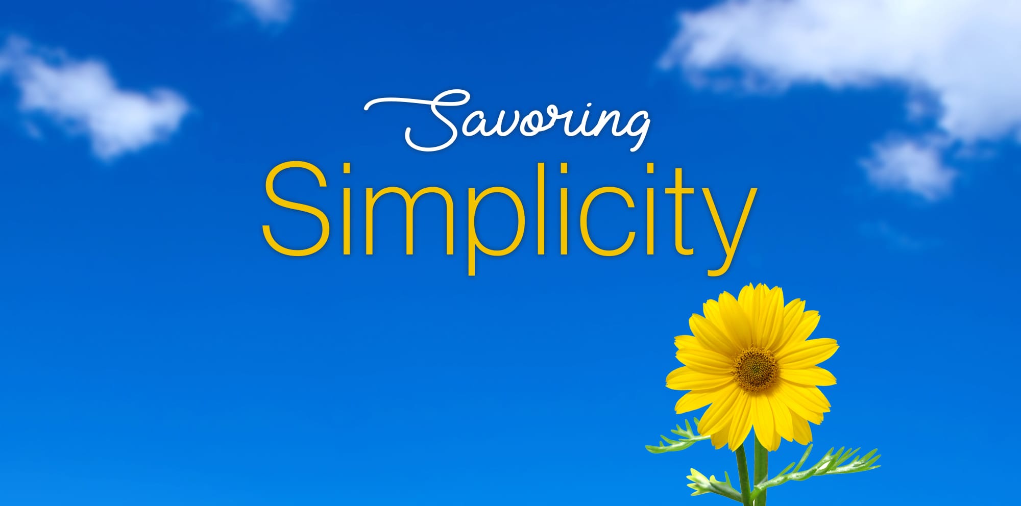 savoring simplicity