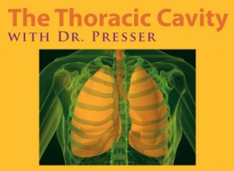 the thoracic cavity with dr presser